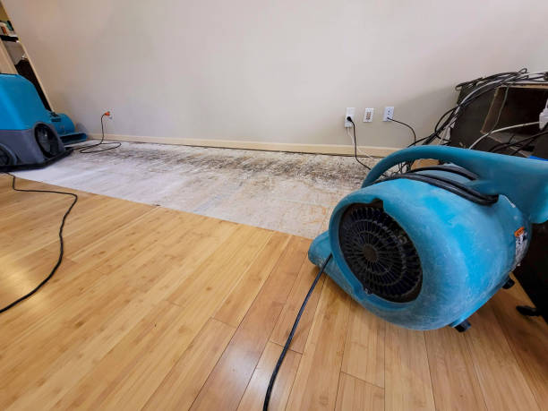 Professional Basement Flood Cleanup technician working in Llewellyn, PA